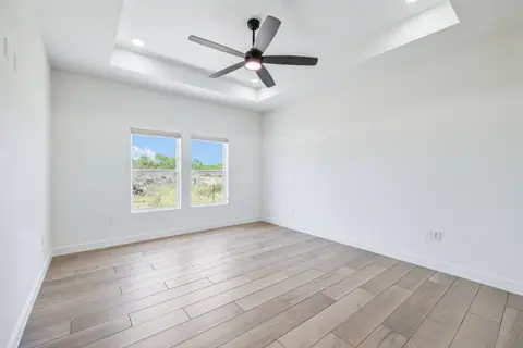 Bedroom with a tray ceiling and a wood-look plank floor